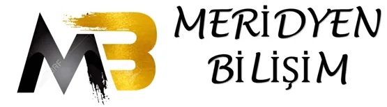 Meridyen Bilişim
